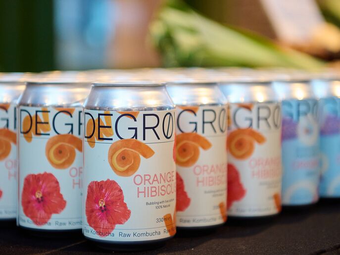 Wonderbot, kombucha DeGrow Lab