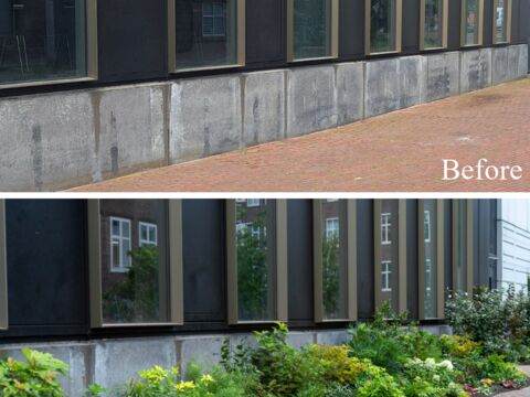 Greener campus before and after 