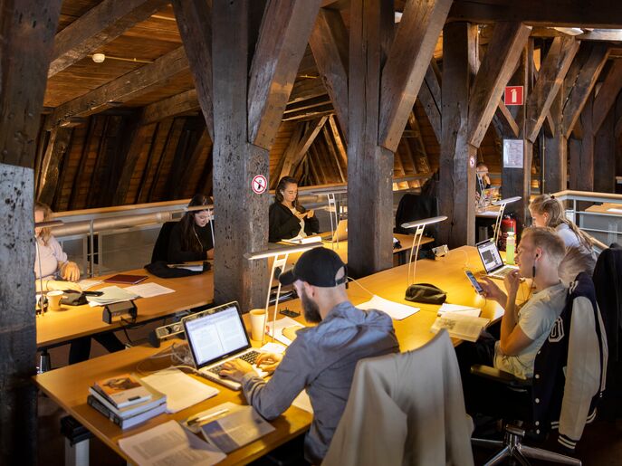 Study spaces in the Bushuis attic