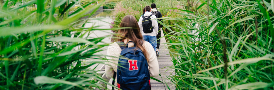 Mensen die in de natuur lopen