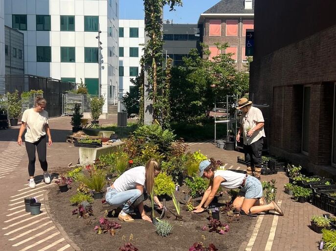 Vergroening REC - aan het werk