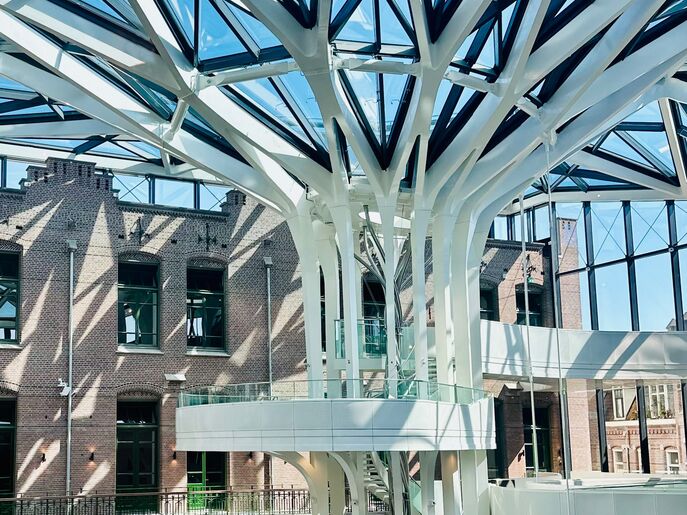 The Humanities collection will be brought together at a single location. Image: Marta Adsarias