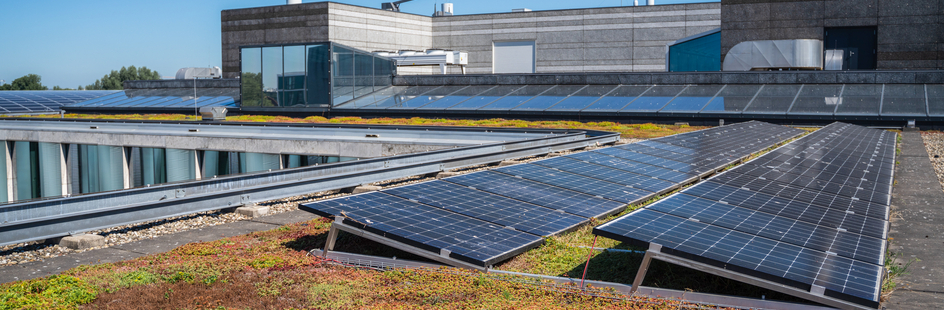 Groen dak van Science Park